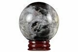 Polished Dendritic Agate Sphere - Madagascar #218918-1